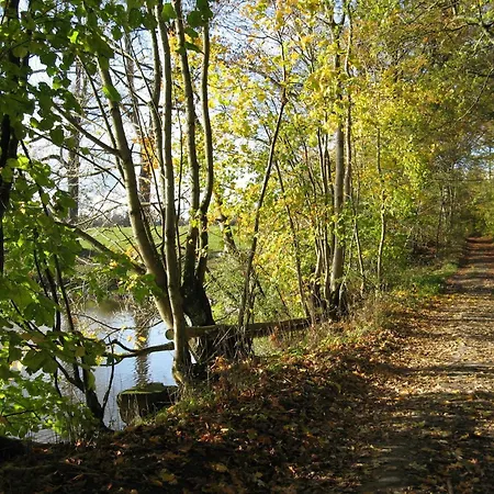 Holiday home Holiday Home Rochefort Near Lesse River, Cleaning Included Serinchamps